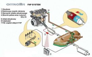 system fap